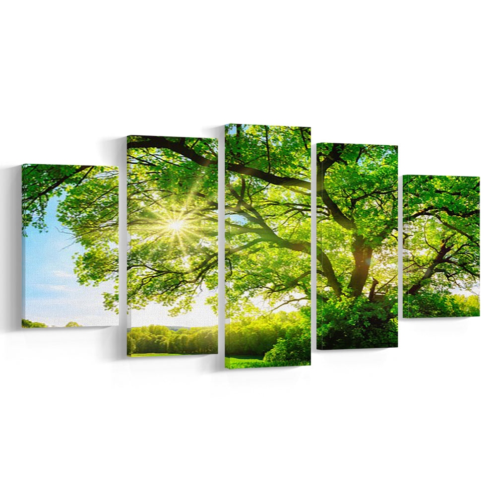 sun shining through a majestic green oak tree on a meadow, 5 Piece Large Cavas Print Wall Art