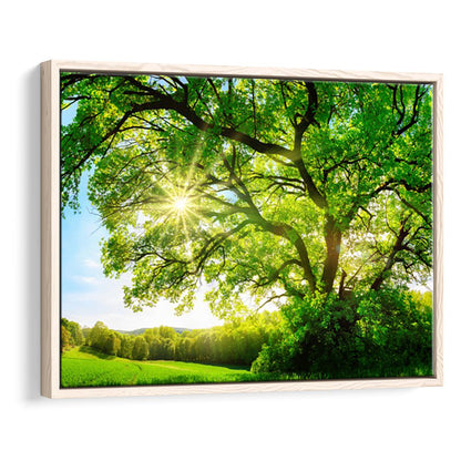 Sun Shining Through A Majestic Green Oak Tree On A Meadow, Framed Cavas Print, Floating Frame