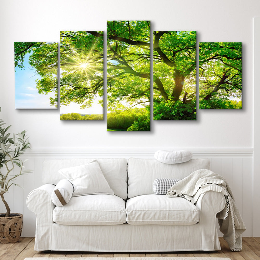 sun shining through a majestic green oak tree on a meadow, 5 Piece Large Cavas Print Wall Art