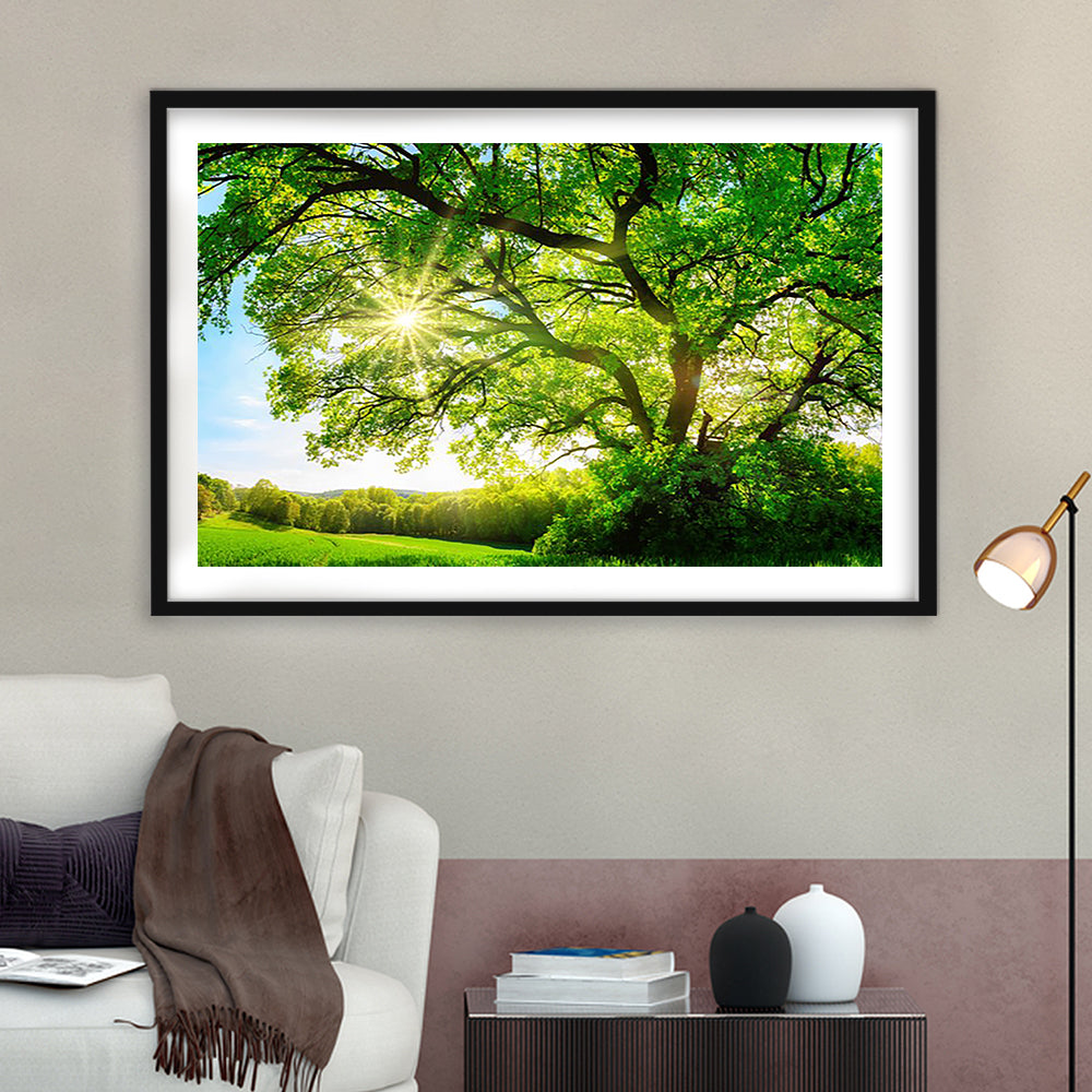 Sun Shining Through A Majestic Green Oak Tree On A Meadow, Framed Art Print White Border