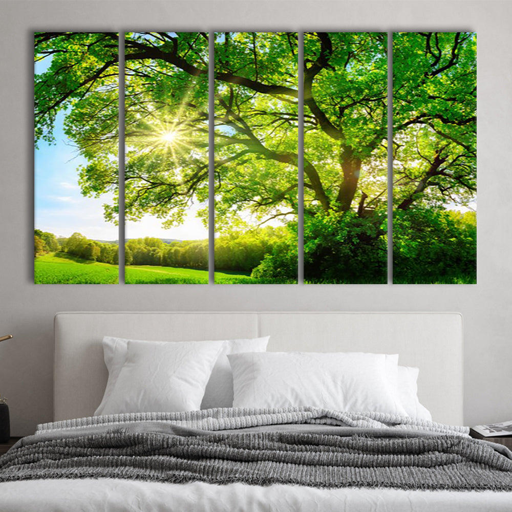 sun shining through a majestic green oak tree on a meadow, 5 Piece B Extra Large Cavas Print Wall Art Decor