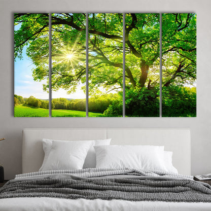 sun shining through a majestic green oak tree on a meadow, 5 Piece B Extra Large Cavas Print Wall Art Decor