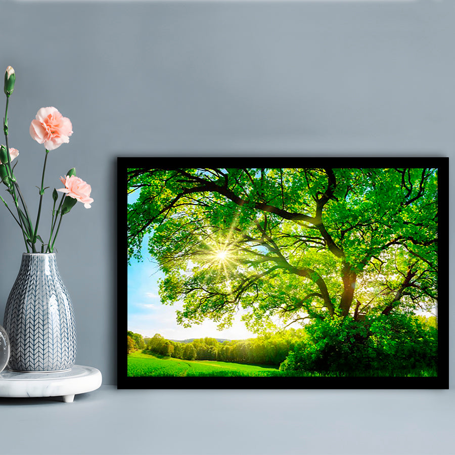 Sun Shining Through A Majestic Green Oak Tree On A Meadow, Framed Art Print, Picture Framed