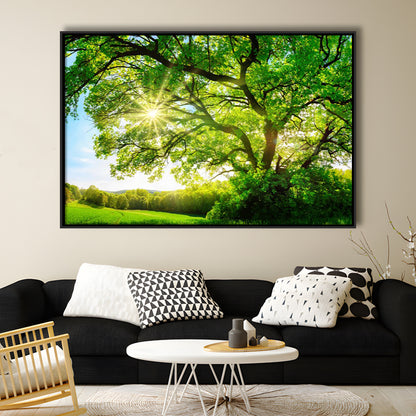 Sun Shining Through A Majestic Green Oak Tree On A Meadow, Framed Cavas Print, Floating Frame