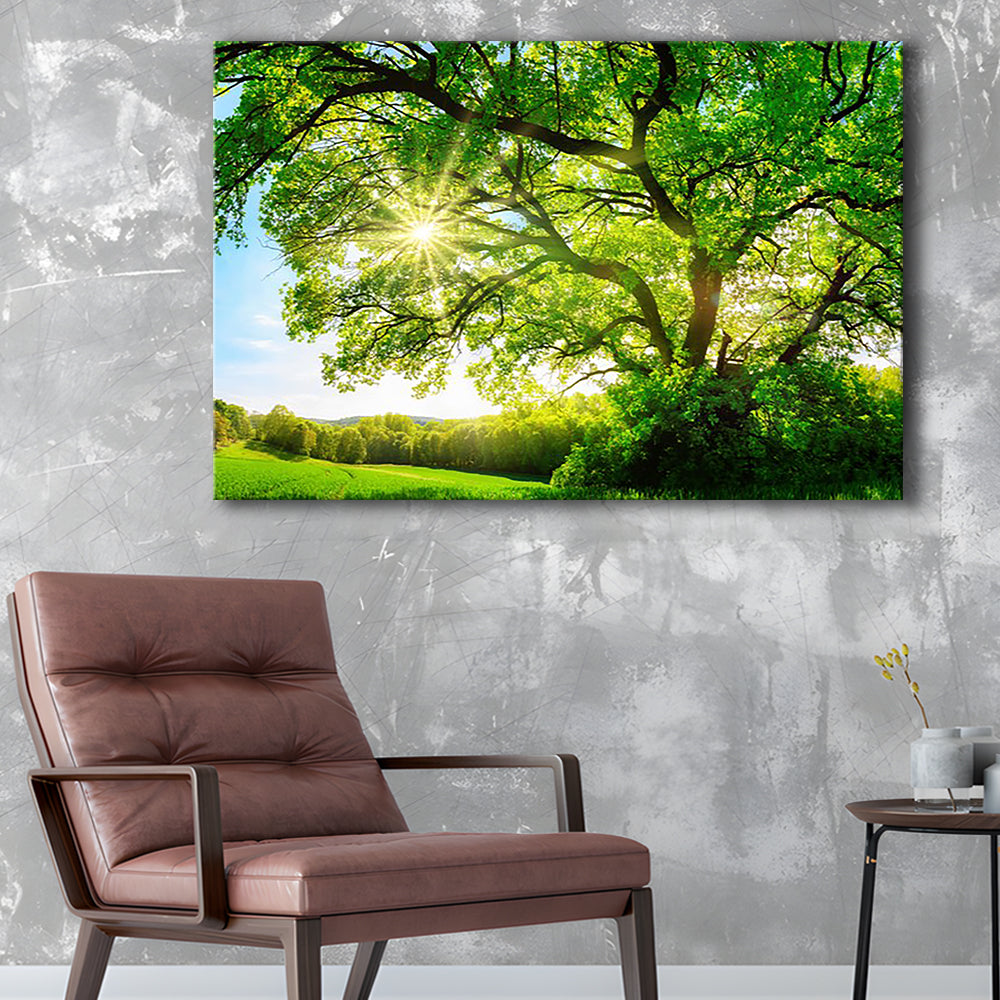 sun shining through a majestic green oak tree on a meadow, Cavas Print Wall Art Hom Decor