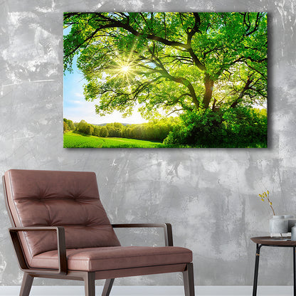 sun shining through a majestic green oak tree on a meadow, Cavas Print Wall Art Hom Decor