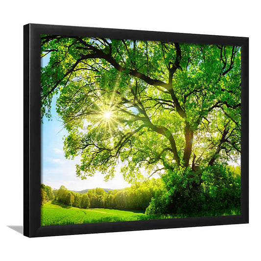 Sun Shining Through A Majestic Green Oak Tree On A Meadow, Framed Art Print, Picture Framed