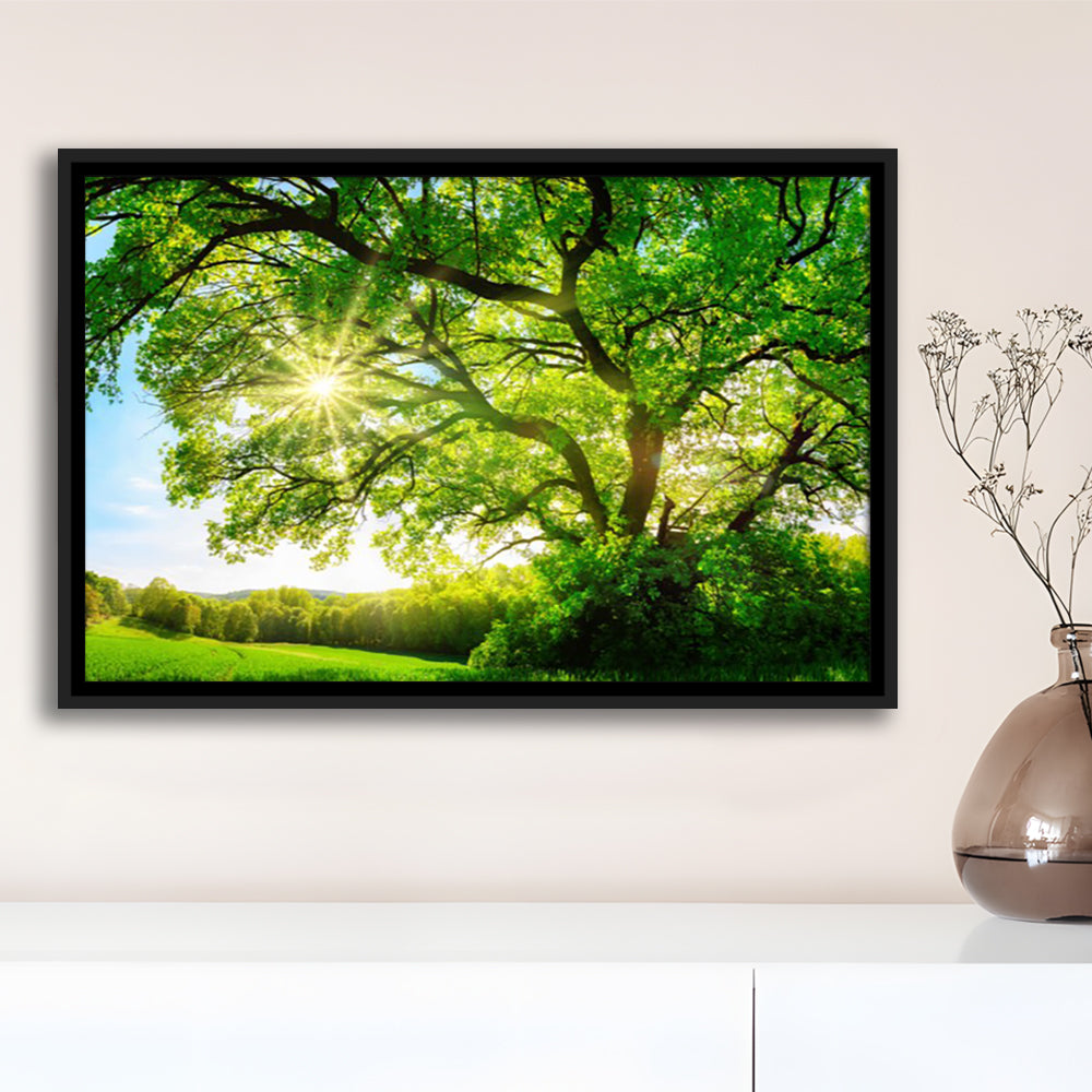 Sun Shining Through A Majestic Green Oak Tree On A Meadow, Framed Cavas Print, Floating Frame
