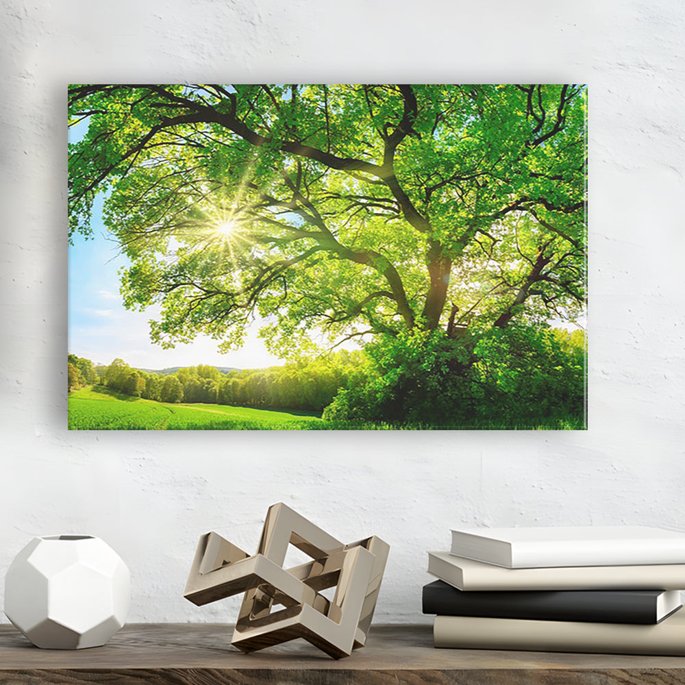 sun shining through a majestic green oak tree on a meadow, Cavas Print Wall Art Hom Decor