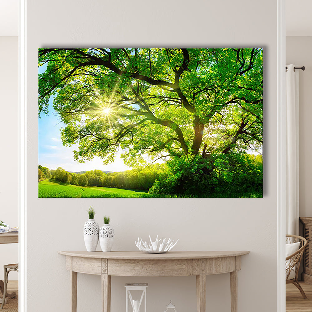 sun shining through a majestic green oak tree on a meadow, Cavas Print Wall Art Hom Decor