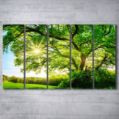 sun shining through a majestic green oak tree on a meadow, 5 Piece B Extra Large Cavas Print Wall Art Decor