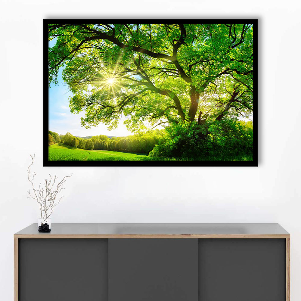 Sun Shining Through A Majestic Green Oak Tree On A Meadow, Framed Art Print, Picture Framed