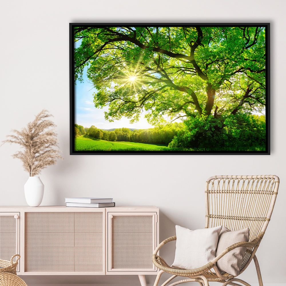 Sun Shining Through A Majestic Green Oak Tree On A Meadow, Framed Cavas Print, Floating Frame