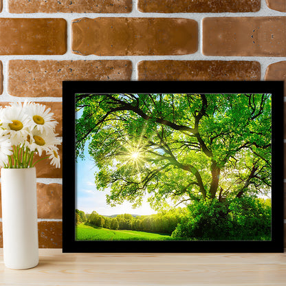 Sun Shining Through A Majestic Green Oak Tree On A Meadow, Framed Art Print, Picture Framed
