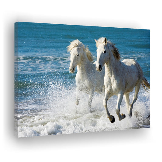 the White Horses of the Camargue running in the water in the South of France, Cavas Print Wall Art Hom Decor