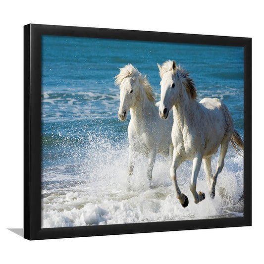 The White Horses Of The Camargue Running In The Water In The South Of France, Framed Art Print, Picture Framed